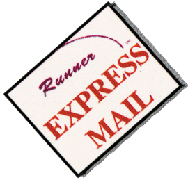 Express Mail Delivery